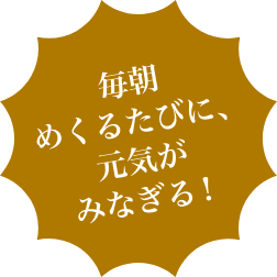 毎朝めくるたびに、元気がみなぎる！